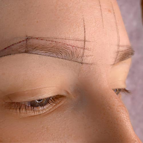 Permanent Make-up, Waxing, Microblading, Augenbrauen, Wipmern, Lidstrich, Lippen, Haare, Narben, Gesicht, dauerhaften kosmetischen T&auml;towierungen